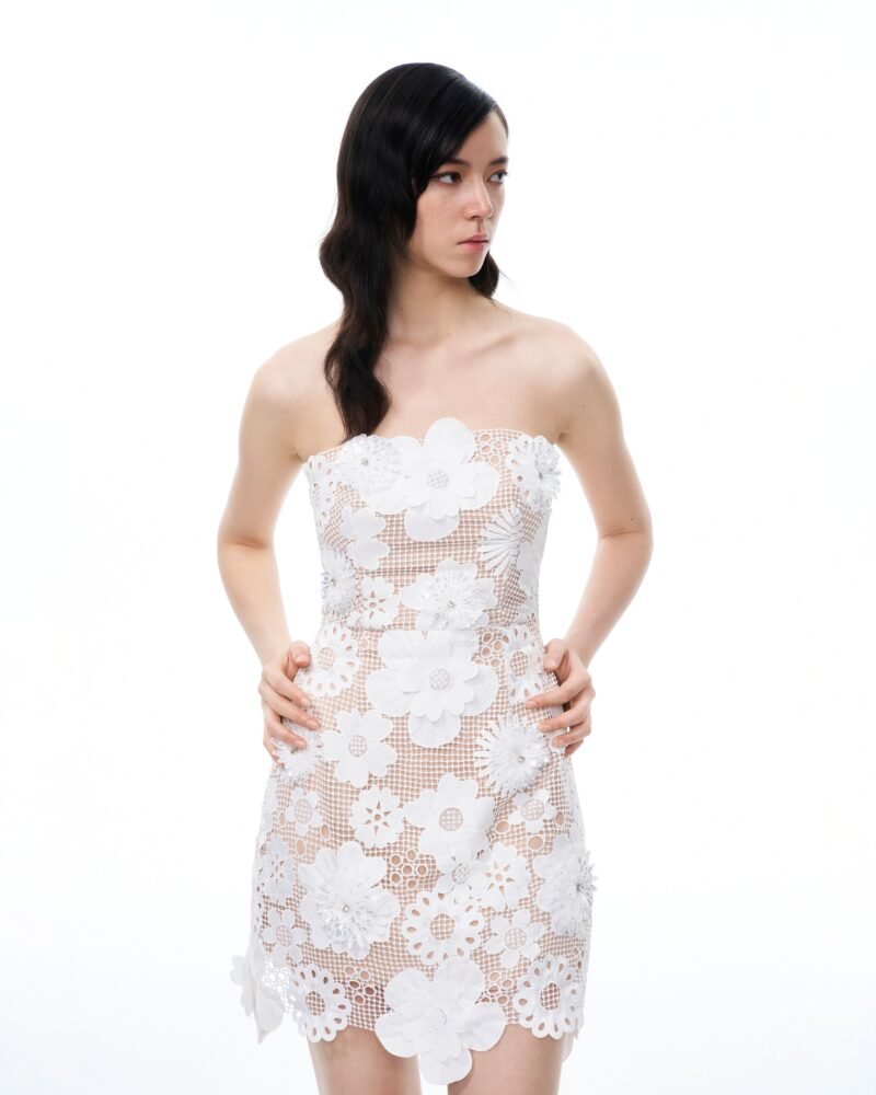 Leander Embroidered Lace Mini Dress - White - Image 4