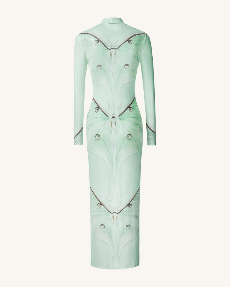 Moth Sheer Mesh Gown - Green/Beige - Image 4