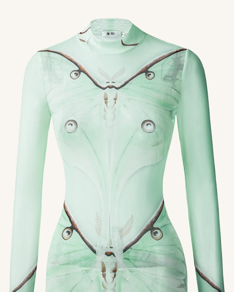 Moth Sheer Mesh Gown - Green/Beige - Image 5