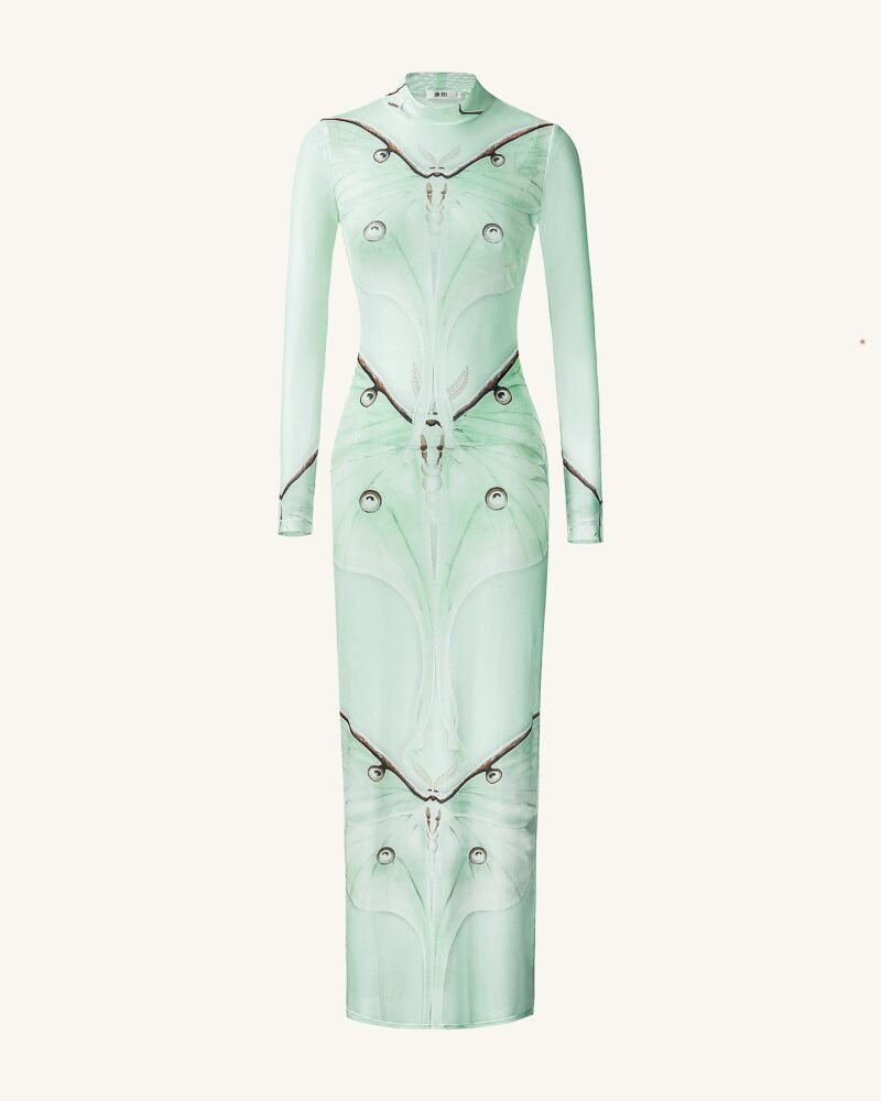 Moth Sheer Mesh Gown - Green/Beige - Image 2