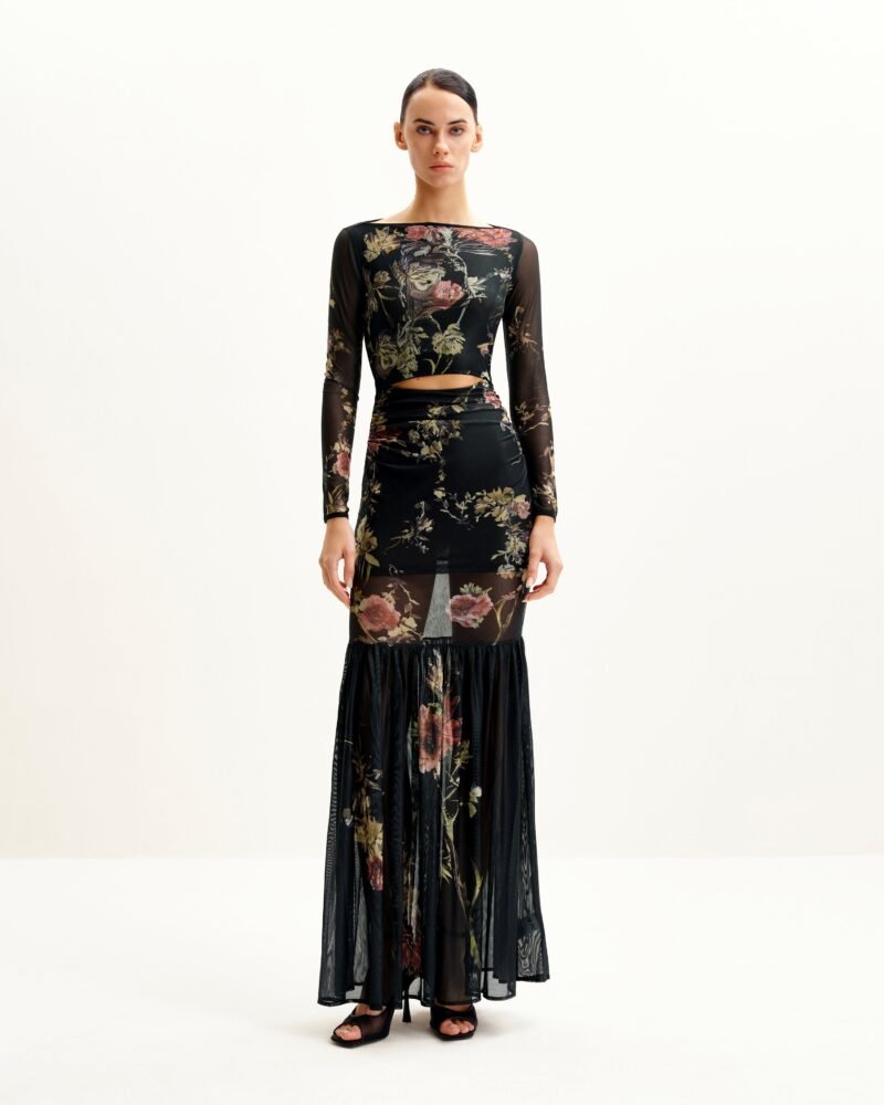 Alicia Printed Mesh Dress - Multicolor - Image 1