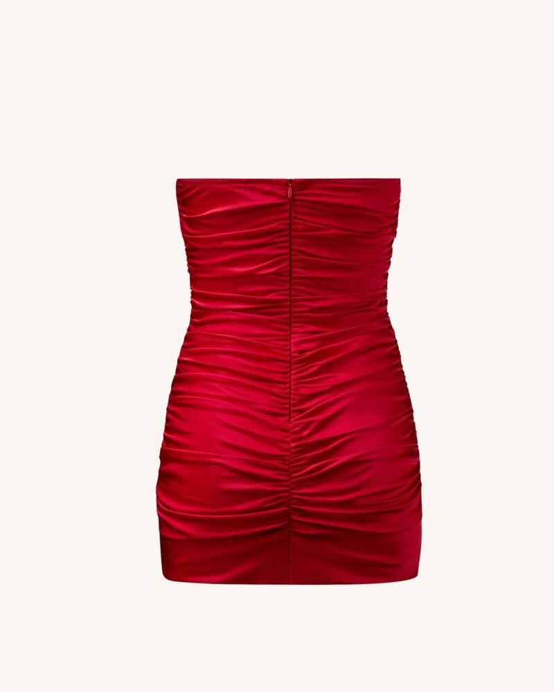 Bailee Red Floral Applique And Ruched Tube Mini Dress - Red - Image 7