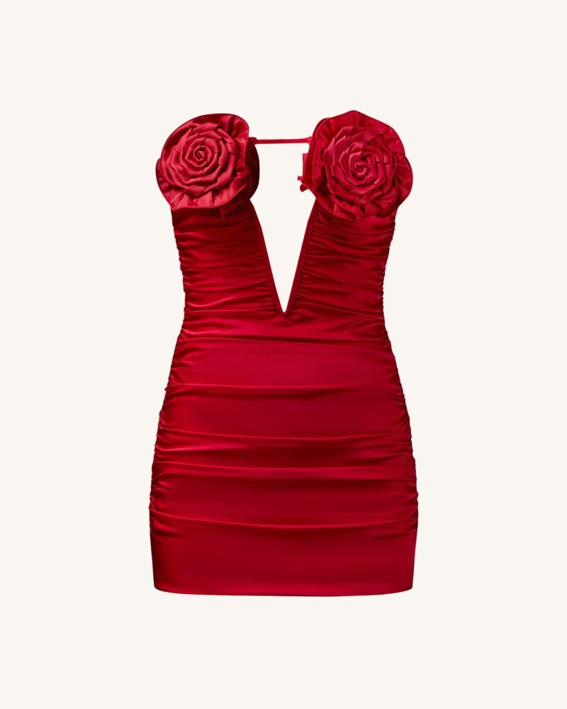 Bailee Red Floral Applique And Ruched Tube Mini Dress - Red - Image 6